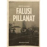 FALUSI PILLANAT