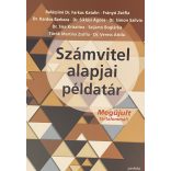 Számvitel alapjai példatár