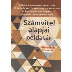 Számvitel alapjai példatár