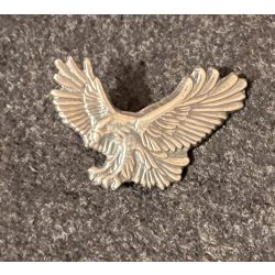 Turul ezüst kitűző