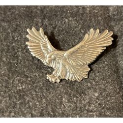 Turul antik ezüst kitűző