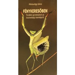   FÉNYKERESŐBEN - További gondolatok az ószövetségi istenképről