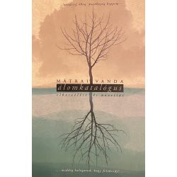 álomkatalógus elbeszélése és novellái